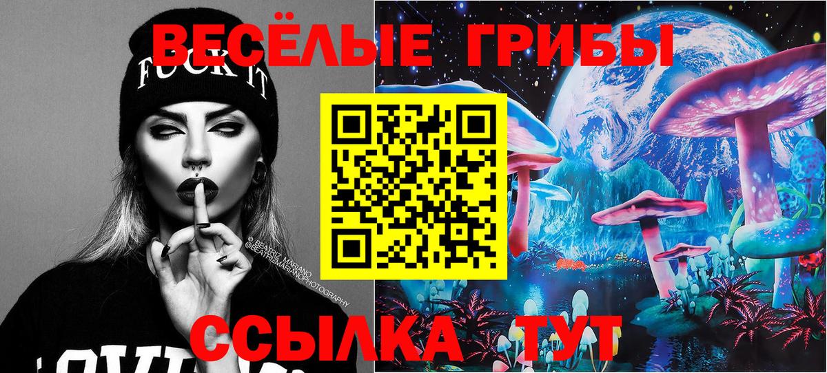 Псилоцибиновые грибы Cubensis  купить наркотики цена  Юрга  Вход с VPN 