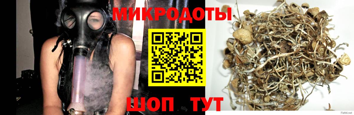 Псилоцибиновые грибы прущие грибы Юрга